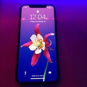 iPhone X Fully Unlocked Space Gray (256 GB)